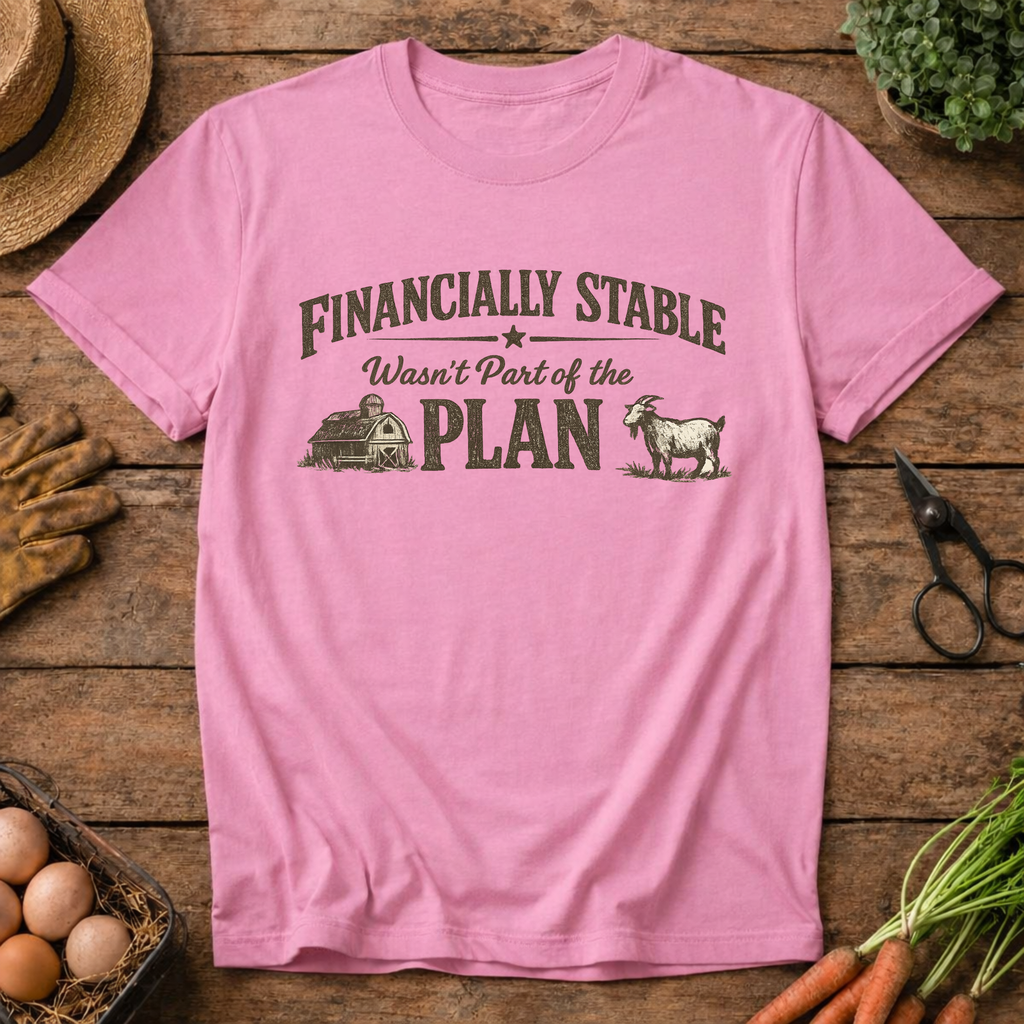 Financially Stable Wasn't Part of the Plan