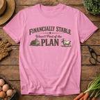 Financially Stable Wasn't Part of the Plan