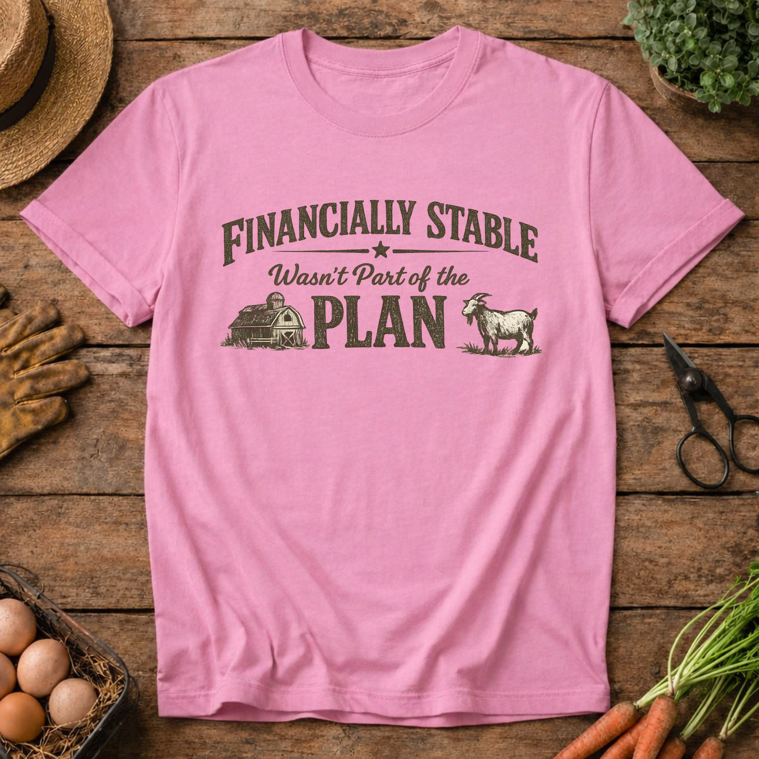 Financially Stable Wasn't Part of the Plan
