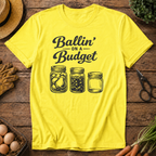 Ballin on a Budget