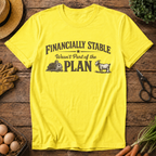 Financially Stable Wasn't Part of the Plan