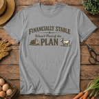 Financially Stable Wasn't Part of the Plan