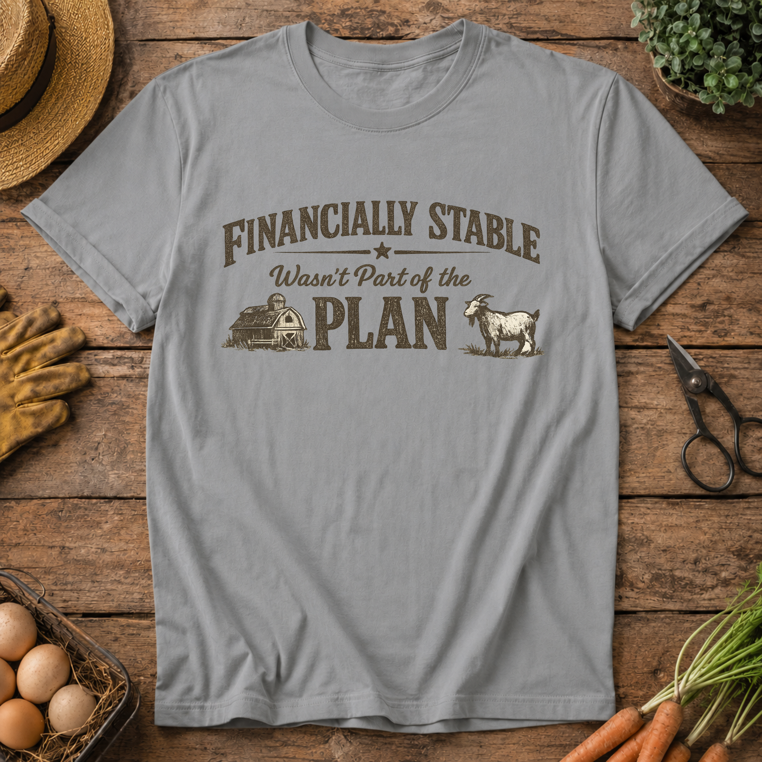 Financially Stable Wasn't Part of the Plan