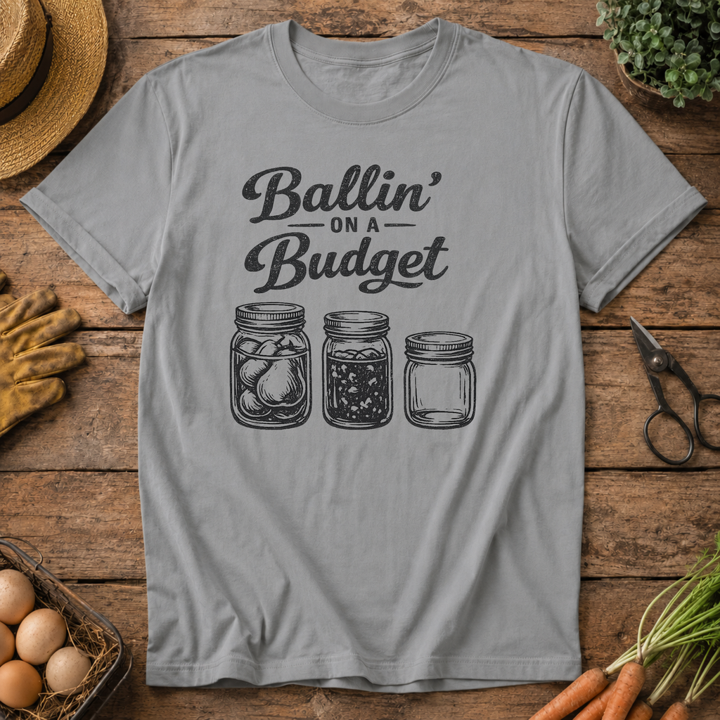 Ballin on a Budget