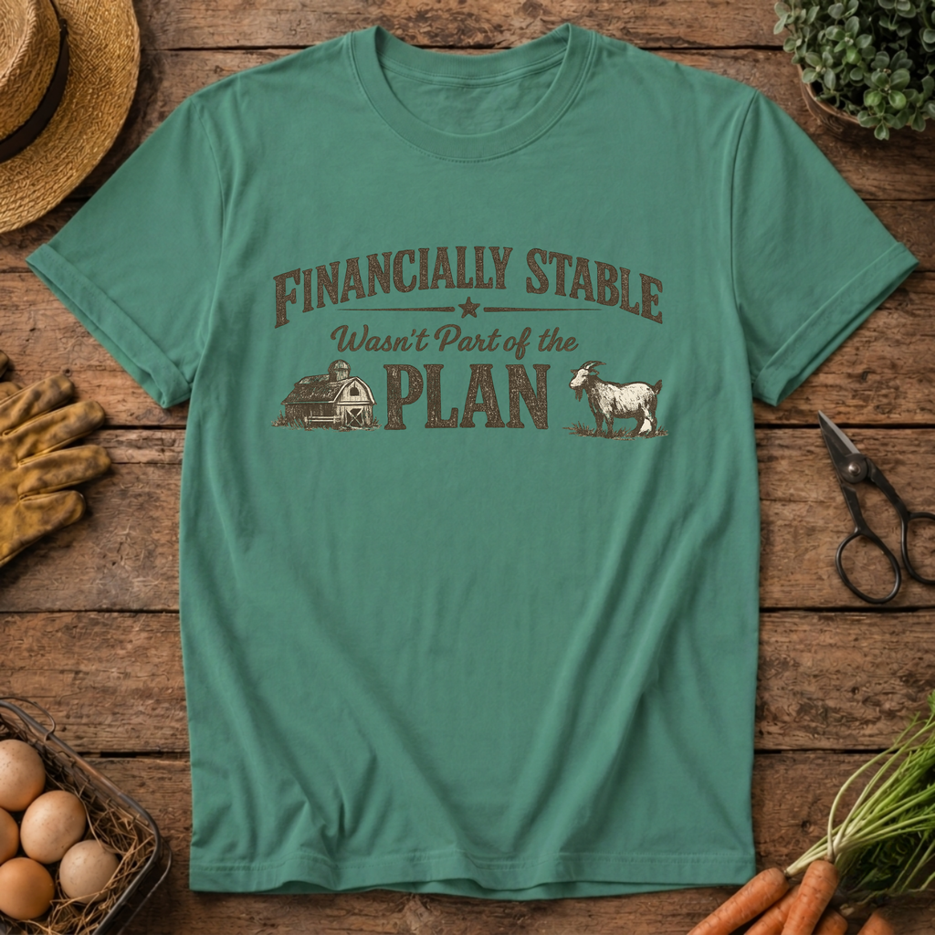 Financially Stable Wasn't Part of the Plan