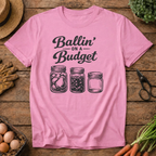 Ballin on a Budget