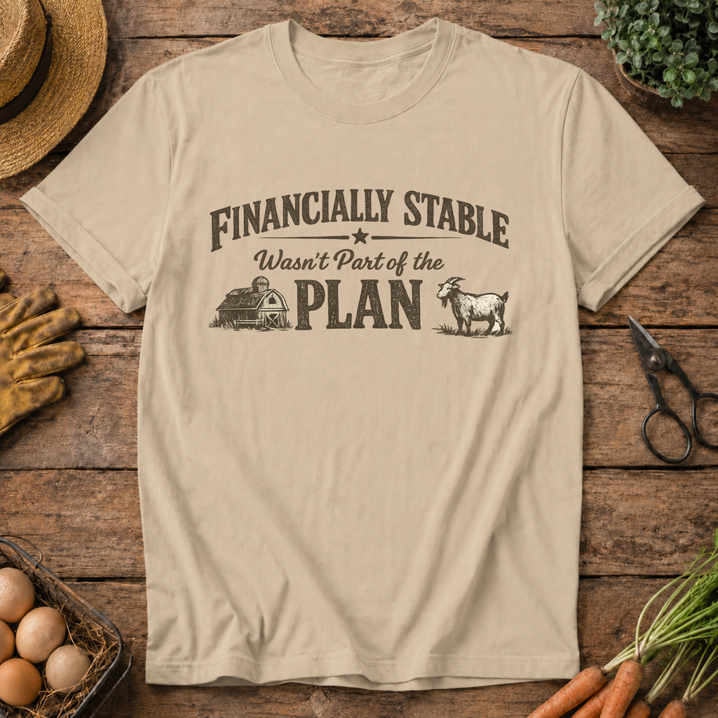 Financially Stable Wasn't Part of the Plan