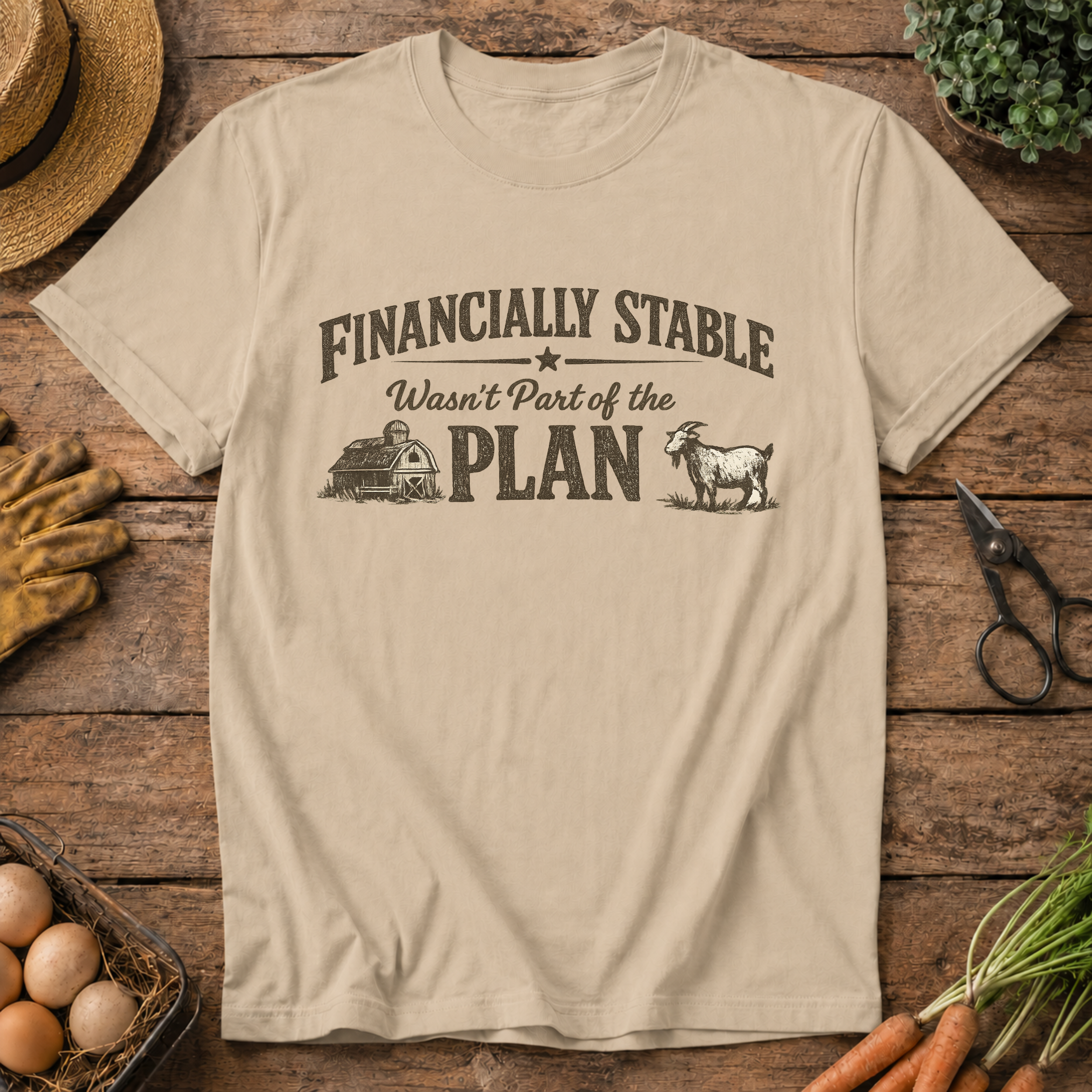 Financially Stable Wasn't Part of the Plan