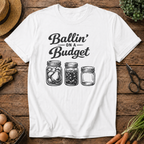 Ballin on a Budget