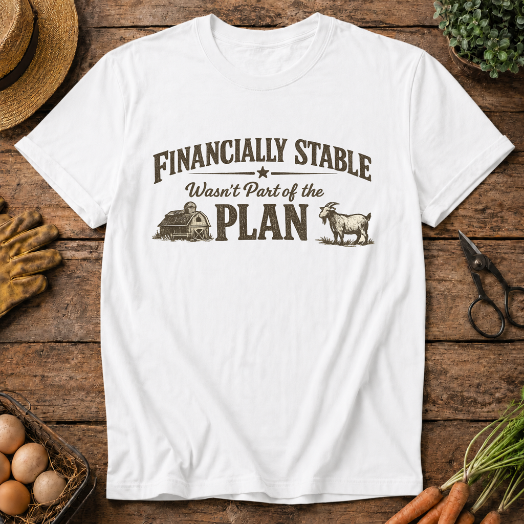Financially Stable Wasn't Part of the Plan