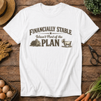 Financially Stable Wasn't Part of the Plan