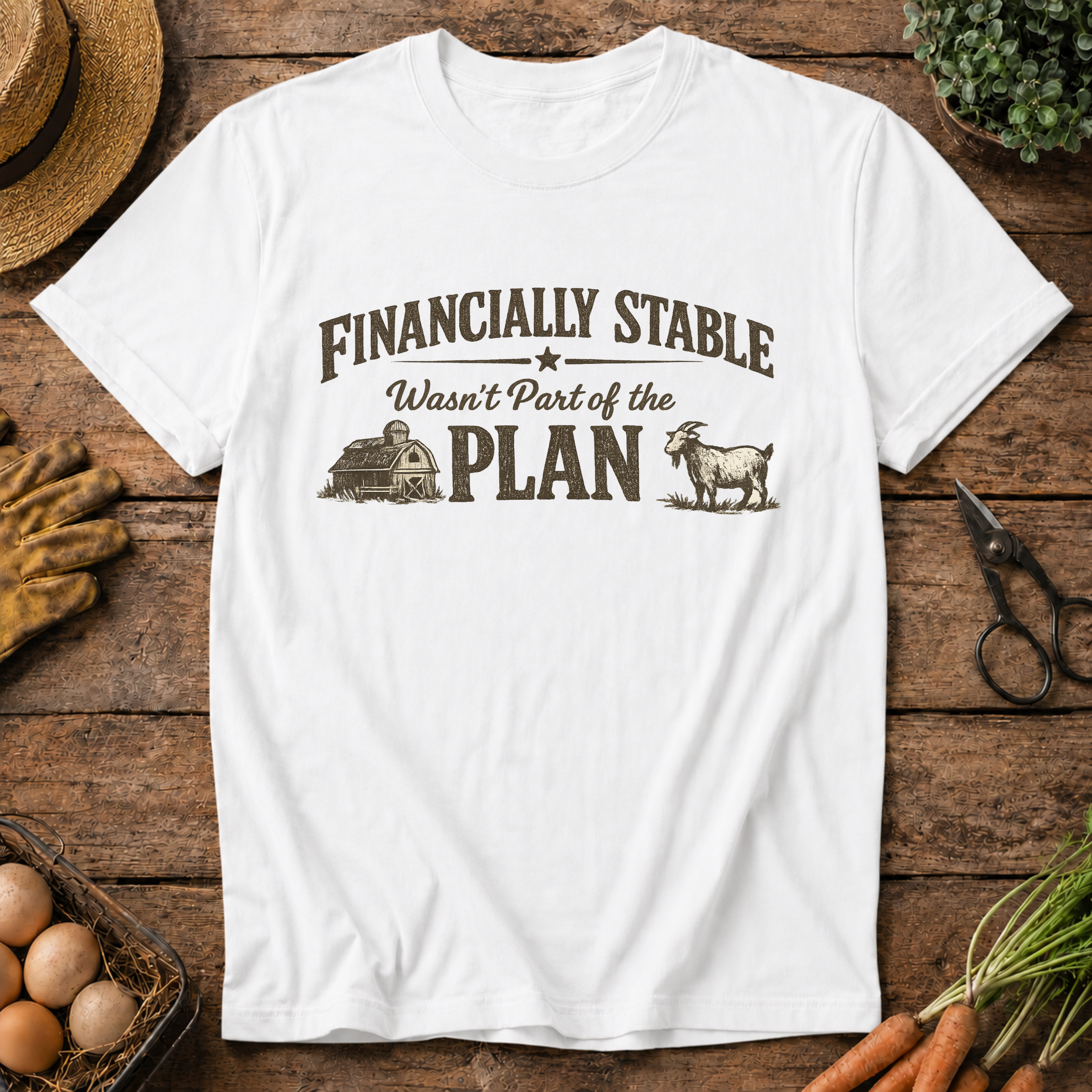 Financially Stable Wasn't Part of the Plan